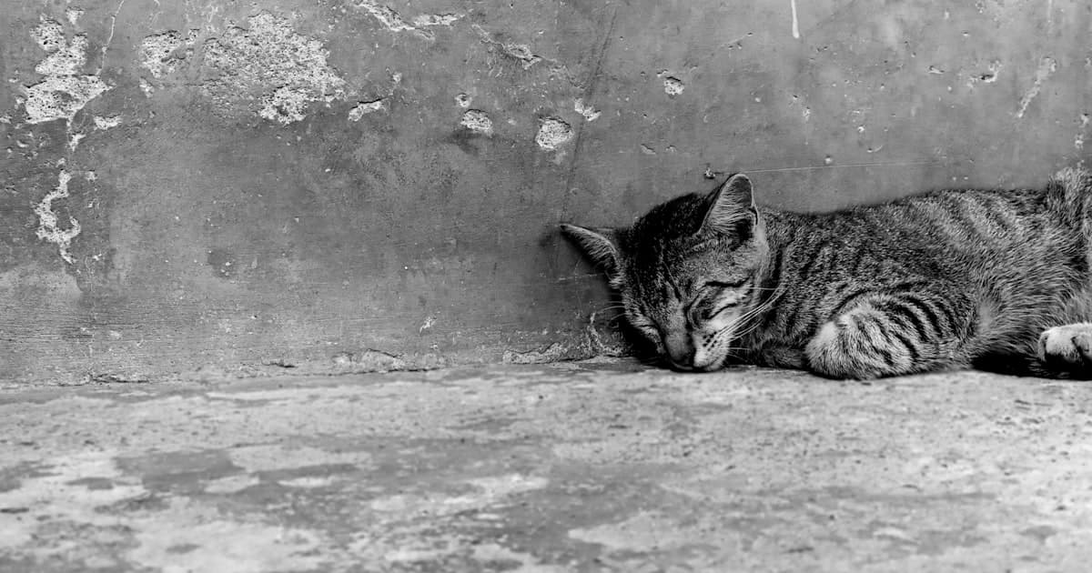 What Is Analysis Paralysis? Why Overthinkers Struggle to Decide