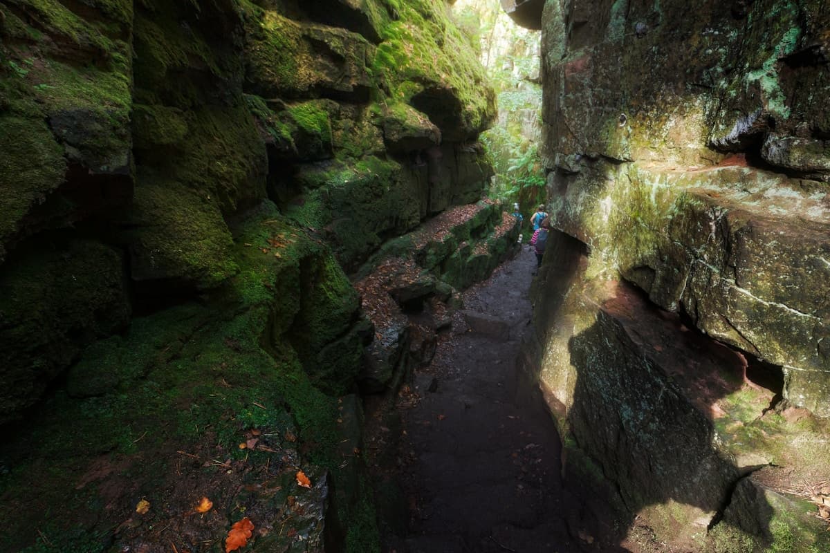 Sunlight coming through a window suggesting hope and recovery