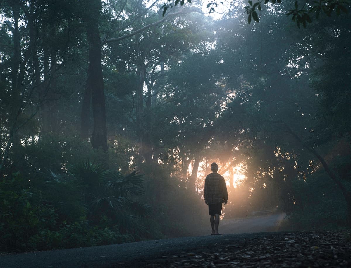 Person meditating in a quiet natural setting, practicing present-moment awareness